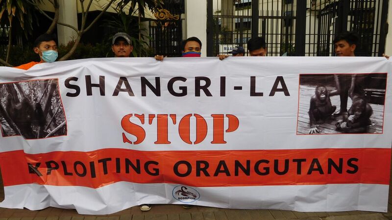 SCORPION Protests Orangutan Exploitation in Malaysia (January 12, 2016)
